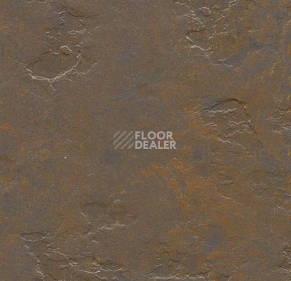 Линолеум Forbo Marmoleum Decibel on Order e374635 newfoundland slate фото 1 | FLOORDEALER